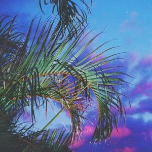 Meet your Posher, Mallory